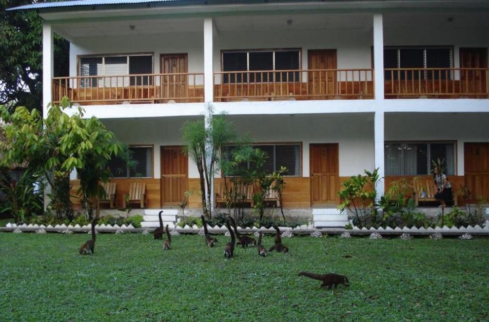 Hotel Tikal Inn Exteriér fotografie